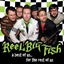 Обложка песни Reel Big Fish - Where Have You Been аккорды