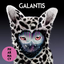 Обложка песни Galantis - Call If You Need Me аккорды