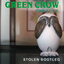 Обложка песни Green Crow - Король танца аккорды