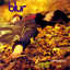 Обложка песни Blur - All Your Life аккорды