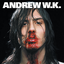 Обложка песни Andrew W K - Party Hard аккорды