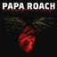 Обложка песни Papa Roach - Born With Nothing Die With Everything аккорды