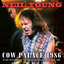 Обложка песни Neil Young - When Your Lonely Heart Breaks аккорды