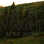 Обложка песни Aron Wright - In The Woods аккорды